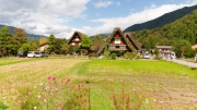 06-Shirakawa-go (12)
